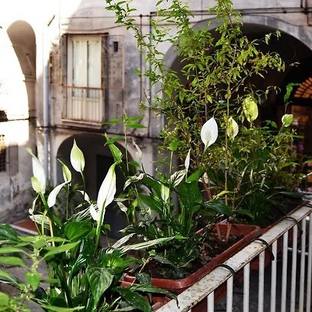 Appartement Bella Art Gallery *